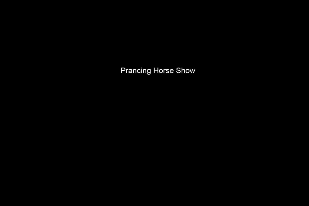 During the week of May 11, 2015, the Prancing Horse Therapeutic Riding program held their end-of-the-year horse shows for their children and adult participants. The shows took place at Muddy Creek Farm in Whispering Pines, North Carolina.