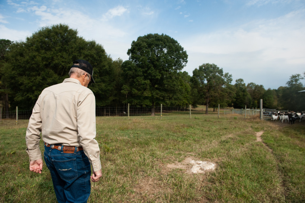 Jackie Bean walks the path to a larger pasture, away from his barn, at D and J Goat Farms on Friday, October 16, 2015 near Robbins, North Carolina. Jackie Bean and his son Derek Bean have been raising livestock for years, specializing in goats for almost a decade. The farms produce commercial stock, breeding stock and show stock Boer goats.