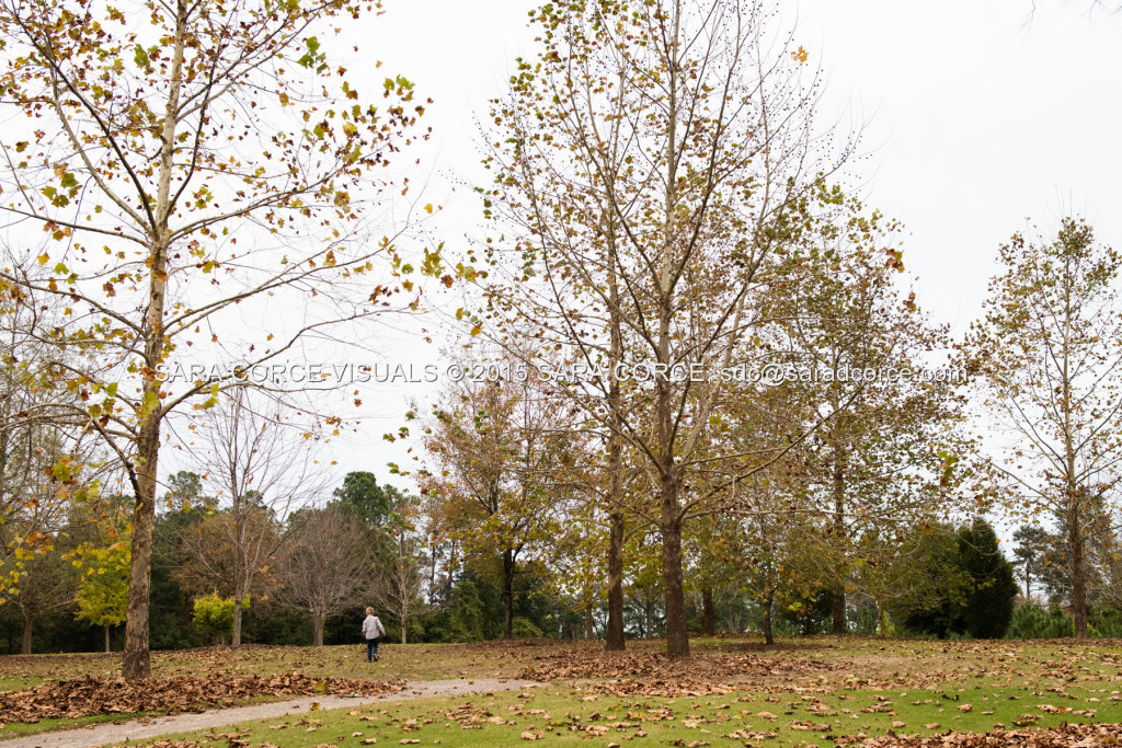 Greg and Lucy Noble stand for family portraits with their children Wesley and Kate at the Pinehurst Arboretum Park on Sunday, November 16, 2015 in Pinehurst, North Carolina.