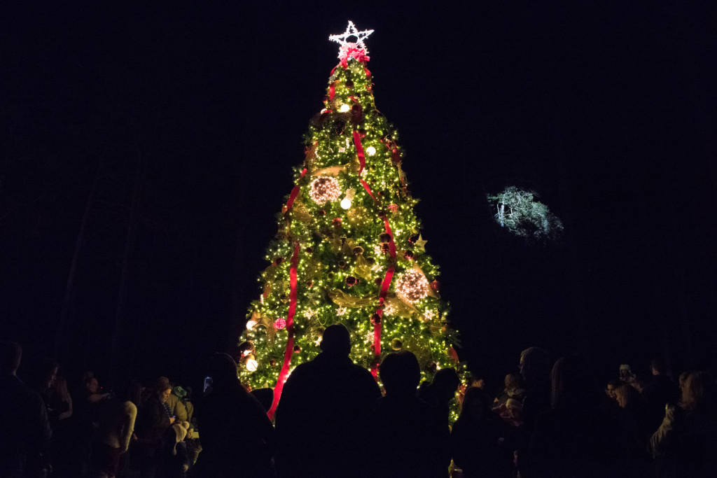 Patrons of the community gather around the Christmas Tree, which was lit at 6:30 PM during the Pinehurst Christmas Tree Lighting event at the Village Lawn in downtown Pinehurst on Friday, December 4, 2015 in Pinehurst, North Carolina.