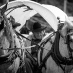 2016 Annual Farmer's Day