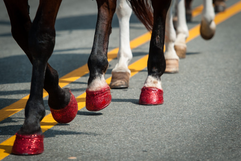 SARA CORCE/Sara Corce Visuals Selected scenes from the annual Farmer's Day Parade on Saturday, August 6, 2016 in Robbins, North Carolina.