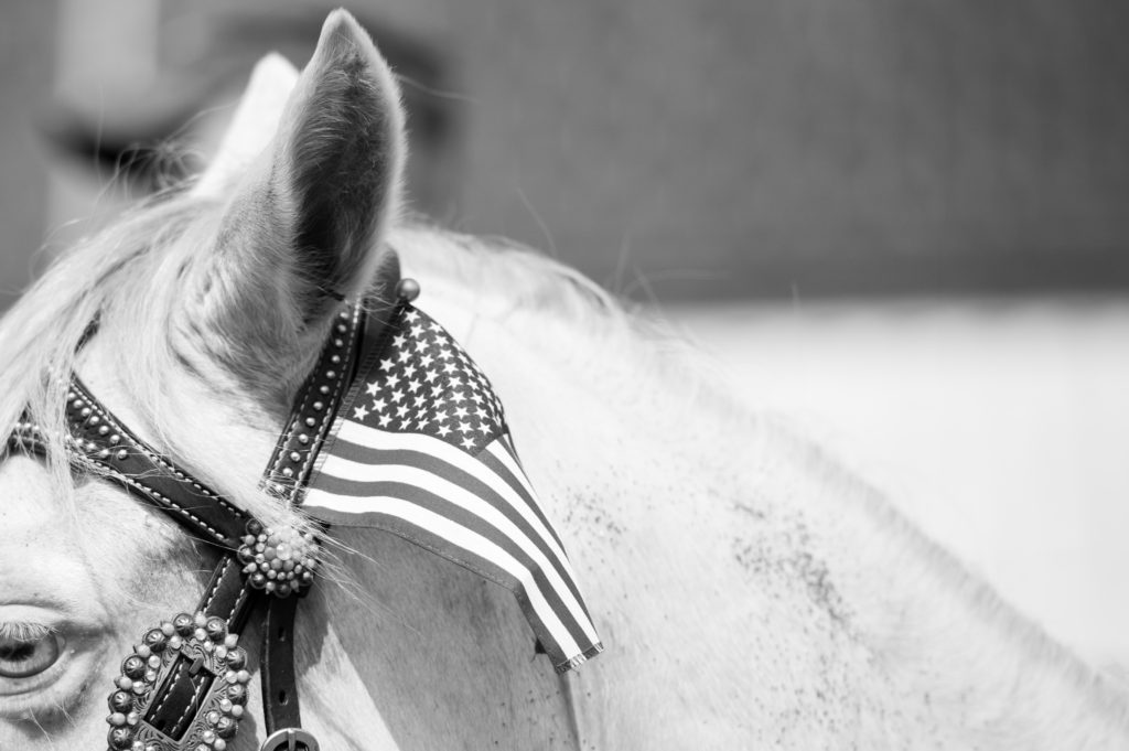 SARA CORCE/Sara Corce Visuals Selected scenes from the annual Farmer's Day Parade on Saturday, August 6, 2016 in Robbins, North Carolina.